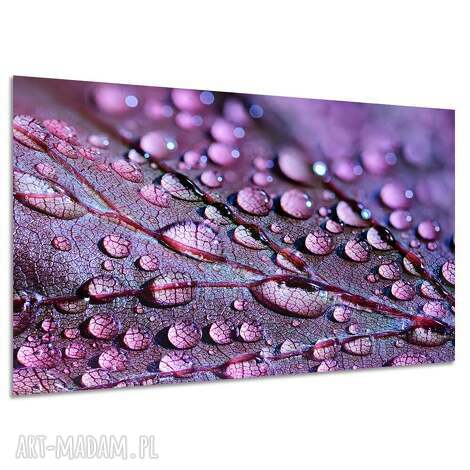 Obraz na płótnie 120x80 - fioletowy liść i krople rosy