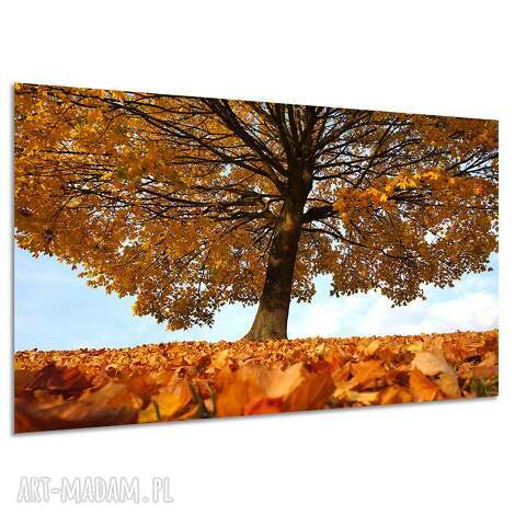 Obraz na płótnie Jesienne drzewo - klon 120x80 cm