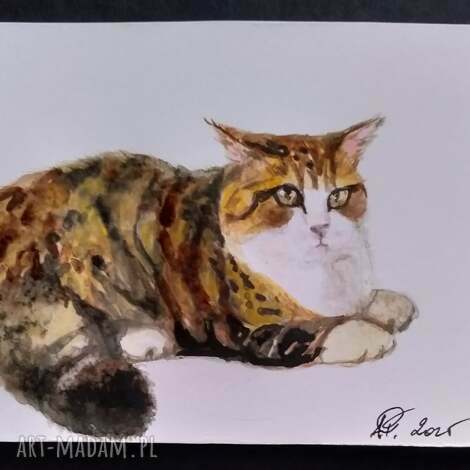 Akwarela „Puchaty kot” Lhotse Design - ręcznie malowany obrazek 10 x 14,5 cm | Prezent dla miłośniczek kotów