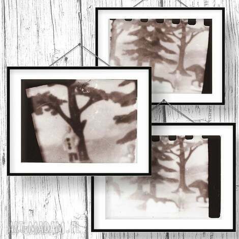 Camera Obscura - tryptyk fotograficzny sepia A4 (3 fotografie)