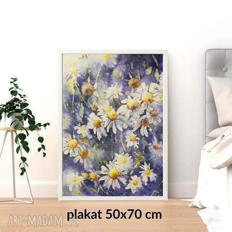 Plakat akwarelowy z rumiankami 50x70 cm