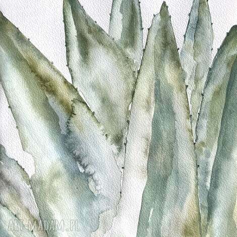 Aloes - obraz akwarela A4 z liśćmi (białe i zielone) - boho natura