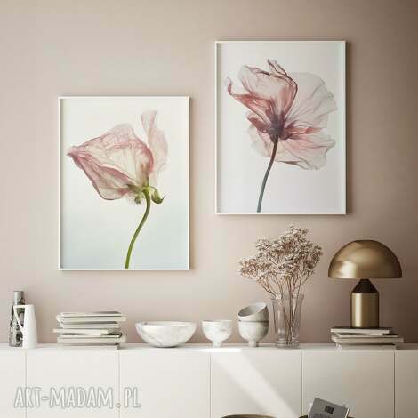 Zestaw 2 plakatów 50x70 cm Delikatne róże - eleganckie róże na ścianę