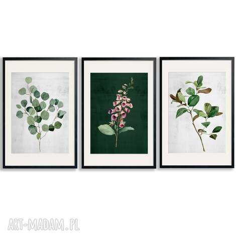 Akwarelowe roślinki w zieleni - 3-częściowy plakat 30x40 cm (tryptyk)
