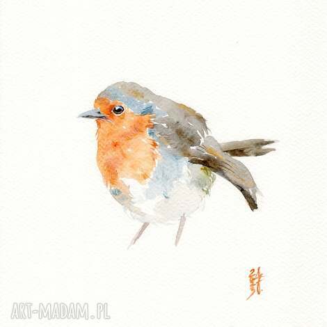 Oryginalna akwarela Rudzik - obraz ptaki A4 bez ramki Alquadro