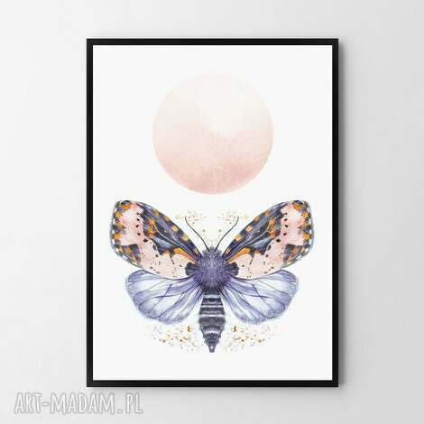 Plakat obraz Ćma 50x70 cm B2 do pokoju dziecka - Hogstudio