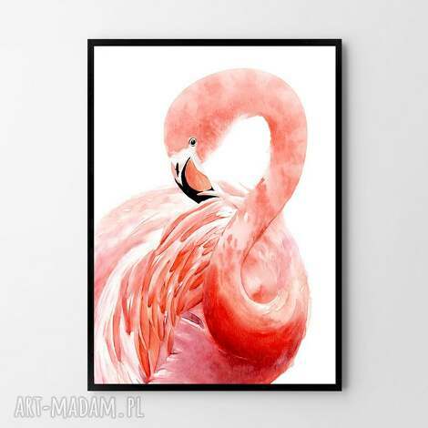 Plakat obraz Flaming B1 70x100 cm - różowo-białe dekoracje Hogstudio