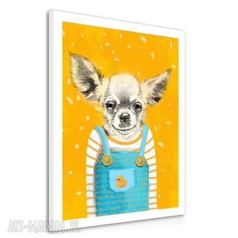Obraz na płótnie 60x80cm Chihuahua - wysyłka w 24h