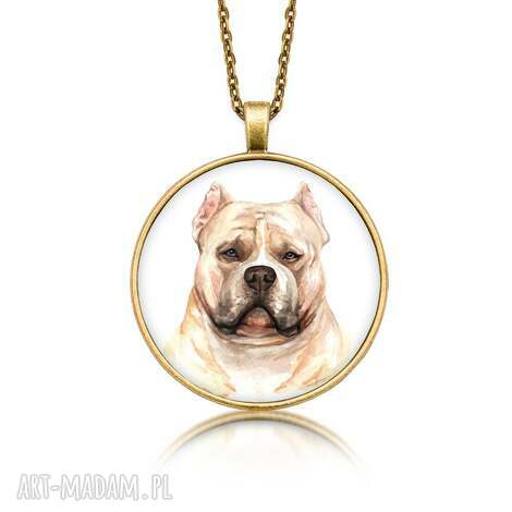 Medalion American Bully - ręcznie robiony naszyjnik z grafiką