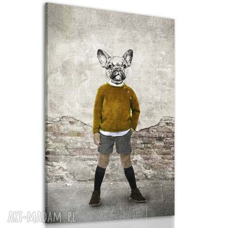 Obraz na płótnie Buldog Gustaw 80 x 120 cm - pies w swetrze, grafika dla dzieci