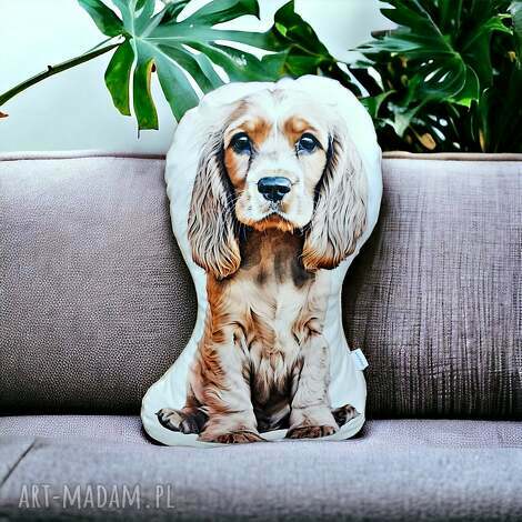 poduszka piesek z pieskiem ozdobna do salonu przytulanka