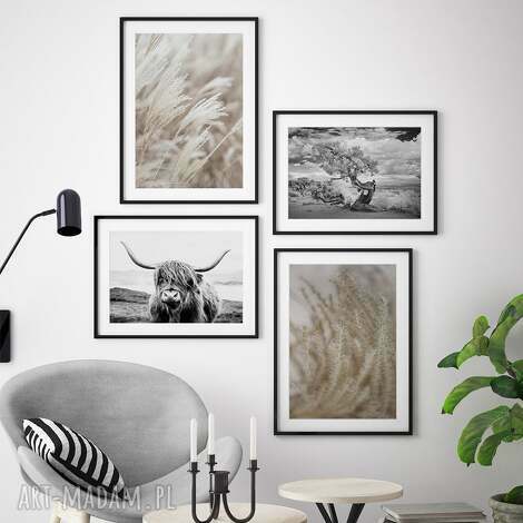 Zestaw plakatów Natura - 4 części po 40x50 cm (set124)