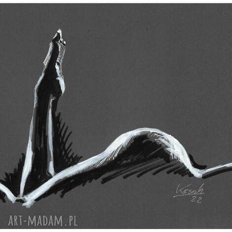 Akt 13 A4 - fine art nude, tusz i biały tusz