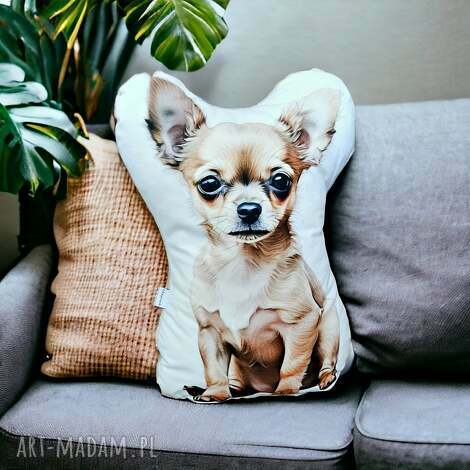 Poduszka Chihuahua Piesek z Pieskiem - beżowa przytulanka z mikrofazy i minky