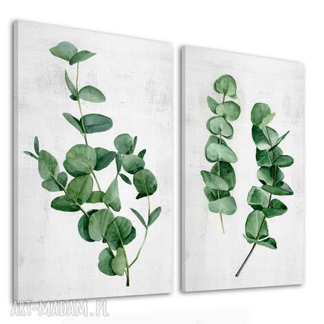 Komplet 2 części: Obraz botaniczny Eukaliptusy 50x70 cm na płótnie - do salonu i sypialni
