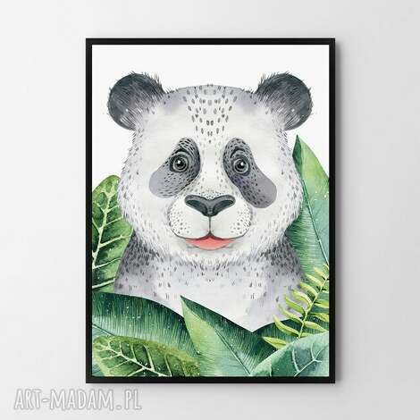 plakat obraz panda 50x70 cm b2 - dziecko, grafika