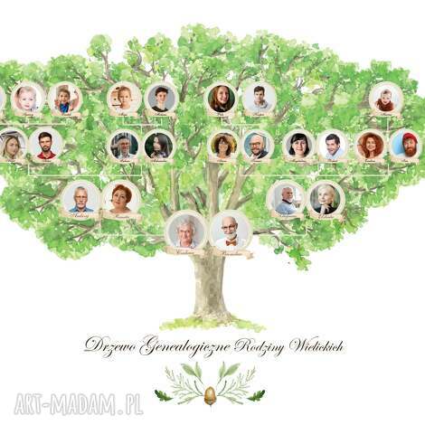 drzewo genealogiczne ze zdjęciami 50x70 cm pamiątka dla dziadków