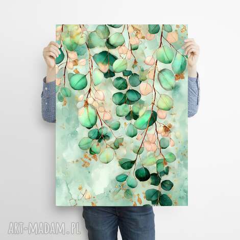 eukaliptus - grafika na plakacie A3 rośliny