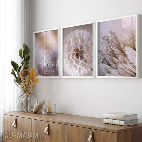 Delikatna Natura - tryptyk 40x50 cm (zestaw 3 plakatów) do salonu