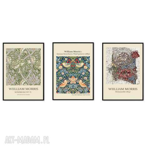 Zestaw 3 plakatów 40x50 cm William Morris - retro vintage botaniczne