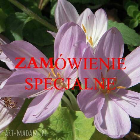 etui zamówienie specjalne - wizytownik prezent, decoupage, drewno retro