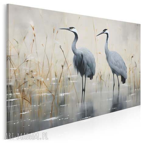 obraz na płótnie - żurawie czaple ptaki elegancki 70x50 cm 109501