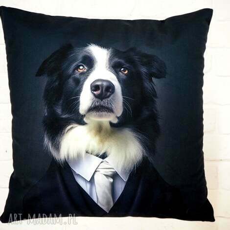 Poduszka z portretem Border Collie - Mark, kolekcja Dżentelmeni 45x45 handmade