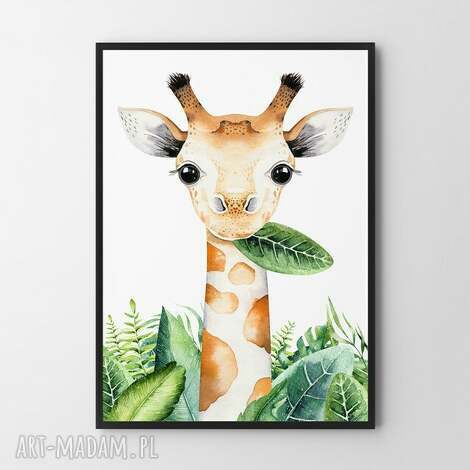 plakat obraz żyrafa 50x70 cm b2 - dziecko, pokoik dziecka