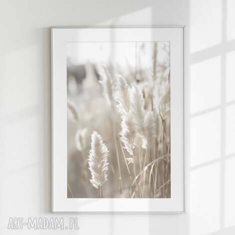 Plakat Trawy Boho 40x50 cm - botaniczny klimat do salonu