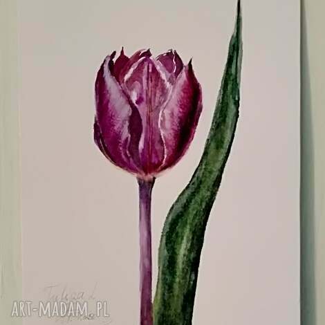 Tulipan akwarelowy - botaniczny obraz ręcznie malowany 14,5x19,5 cm