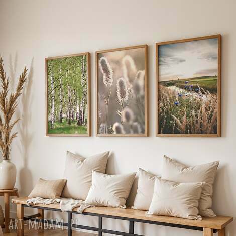 Zestaw plakatów 30x40 cm Natura - tryptyk brzozy, chabry i trawy (bez ramek)
