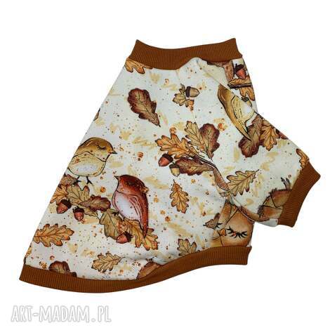 bluza dla psa z raglanowym rękawem ptaszki rozmiar l, modny pies, miłość