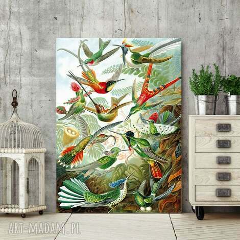 canvas obraz płótno rajskie ptaki 50x70 cm
