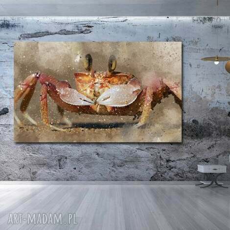 Obraz KRAB 1 120x70 cm na płótnie modern - zwierzęta w pomarańczach i beżach