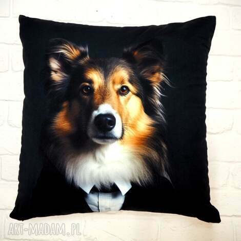 Poduszka z portretem owczarka szkockiego Romeo - Kolekcja Dżentelmeni 45x45 cm, soft velvet