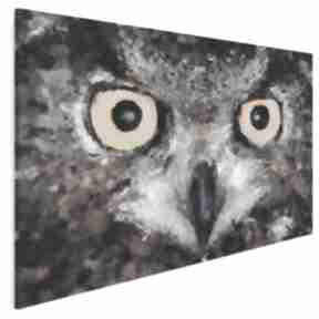 Obraz na płótnie - sowa oczy 120x80 cm 01701 vaku dsgn, wzrok, dziki, zwierzę