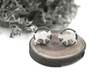Srebrne kolczyki dzikie rysie jachyra jewellery srebro - koty - mini, sztyfty