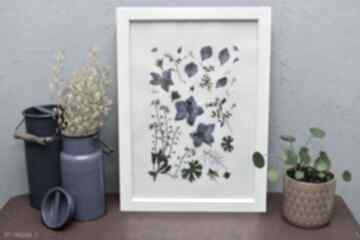 Obraz z suszonych ziół - kwiaty kraina rumianku zioła, salon, rustykalny, wiejski, niebieski