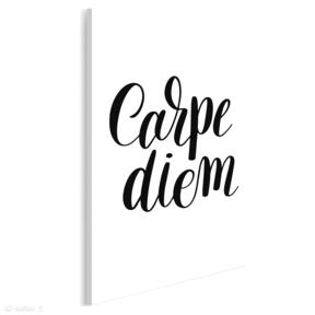 na płótnie - carpe diem 50x70 cm 56816 vaku dsgn minimalizm, napis, czcionka, dekoracja, font