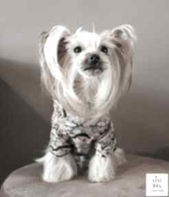 z kapturem dla zwierzaki sisi dog couture bluza, psa, ubranko, pies, modna, szczeniak