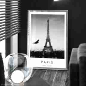 czarno biały - 40x50 cm 8-2 0013 plakaty raspberryem plakat, miasto, paryż wieża eiffla