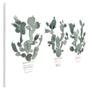 Obraz na płótnie - kaktusy rośliny doniczki 120x80 cm 706801