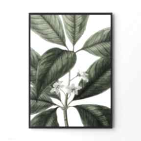 Plakat obraz roślinnie A2 42x59.4cm