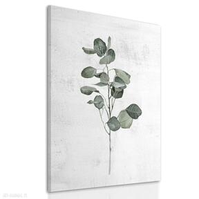 Obraz drukowany na płótnie akwarelowa roslinka eukaliptus 40x60cm ludesign gallery roślina