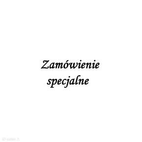 Zamówienie specjalne dla pani kasi breloki mis olki brelok