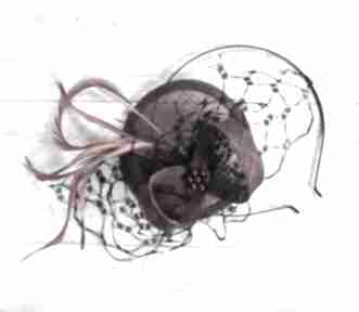 ozdoby do włosów fascynator, wino, woalka, pióra, toczek