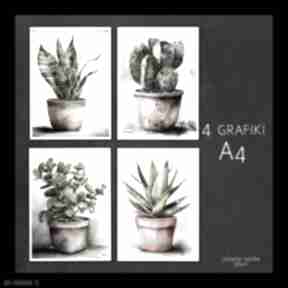 4 grafiki A4 dla miłośników roślin rośliny justyna jaszke, zestaw, z roślinami
