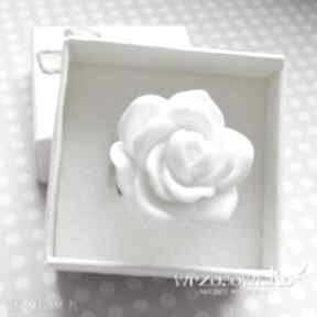 Biała wrzosowisko róża, pierścionek, kwiat