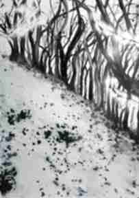 Zimowy przebłysk ewa mościszko krajobraz, las, widok, drzewa, pejzaż obraz, zimq
