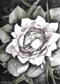 Smok lilia: akwarela obraz, śpiący, kwiat